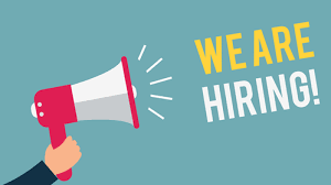 How to hire a good data scientist?